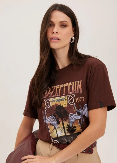 RZZ Abigail Brown Mesh T-shirt